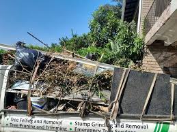 Best Hot Tub Removal  in Hazel Park, MI