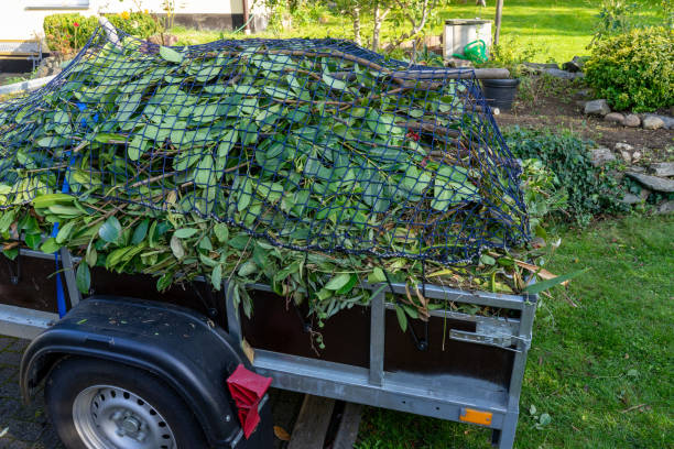 Best Commercial Junk Removal  in Hazel Park, MI